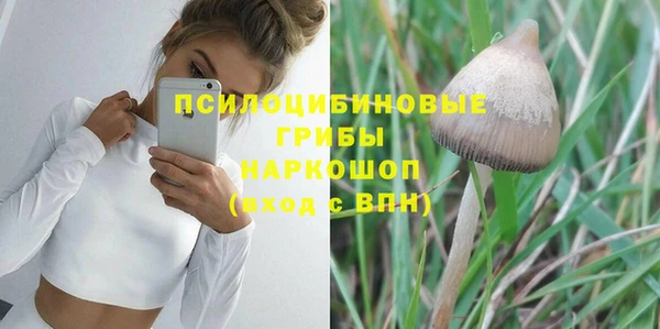 шишки Ладушкин
