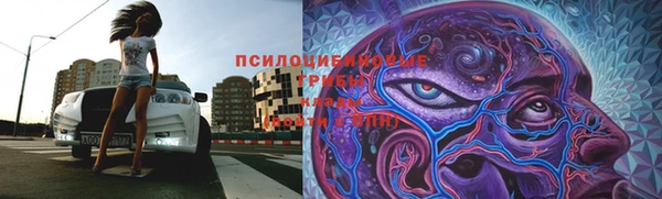 шишки Ладушкин