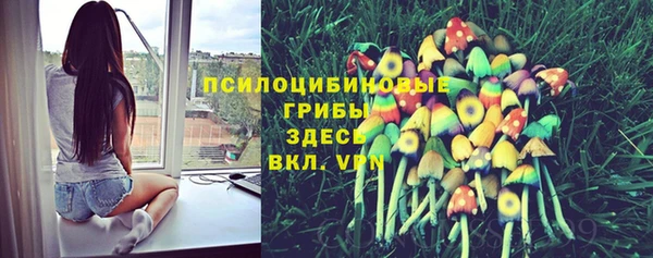 PSILOCYBIN Лабытнанги
