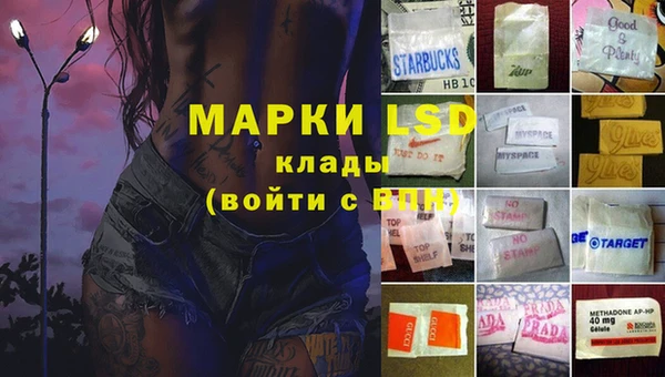 шишки Ладушкин