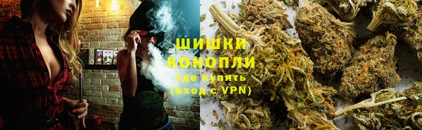 PSILOCYBIN Лабытнанги