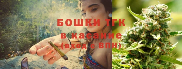 шишки Ладушкин