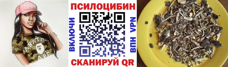 Галлюциногенные грибы Cubensis  нарко площадка клад  Игра 